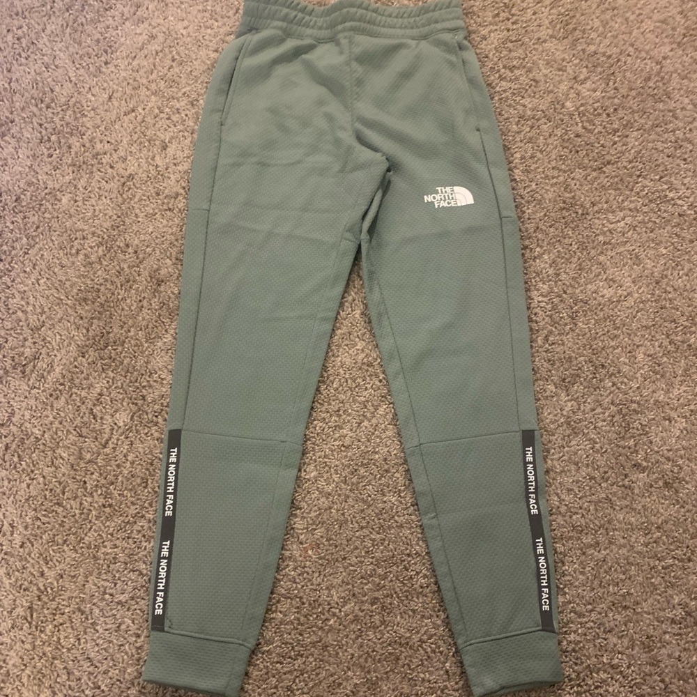The North Face mountain athletic joggers